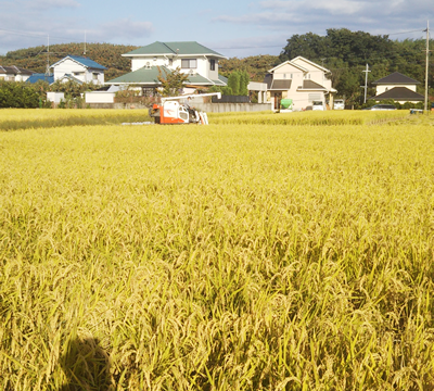 募集要項