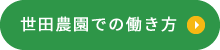 世田農園での働き方