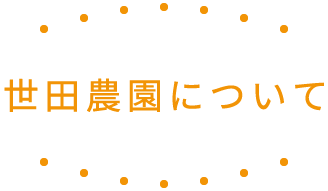 世田農園について